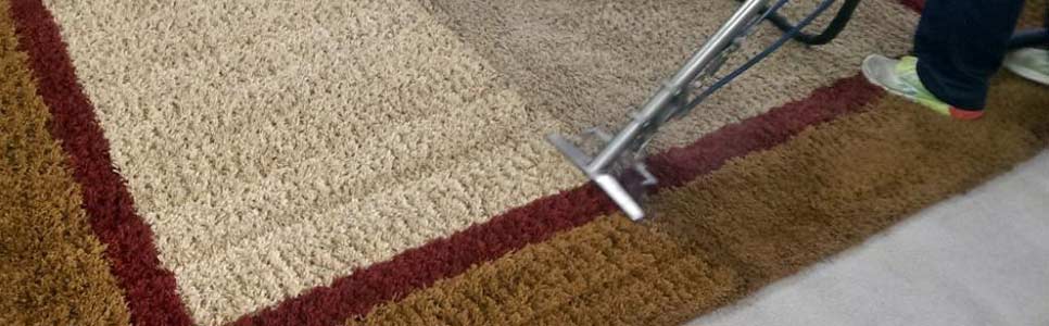 rug cleaning curtin