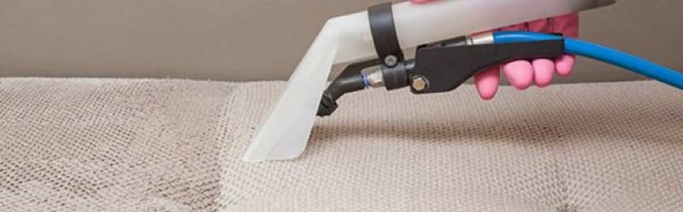 upholstery cleaning curtin